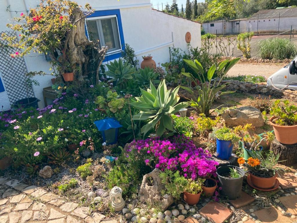 Casa Aleg Villa Albufeira Kültér fotó